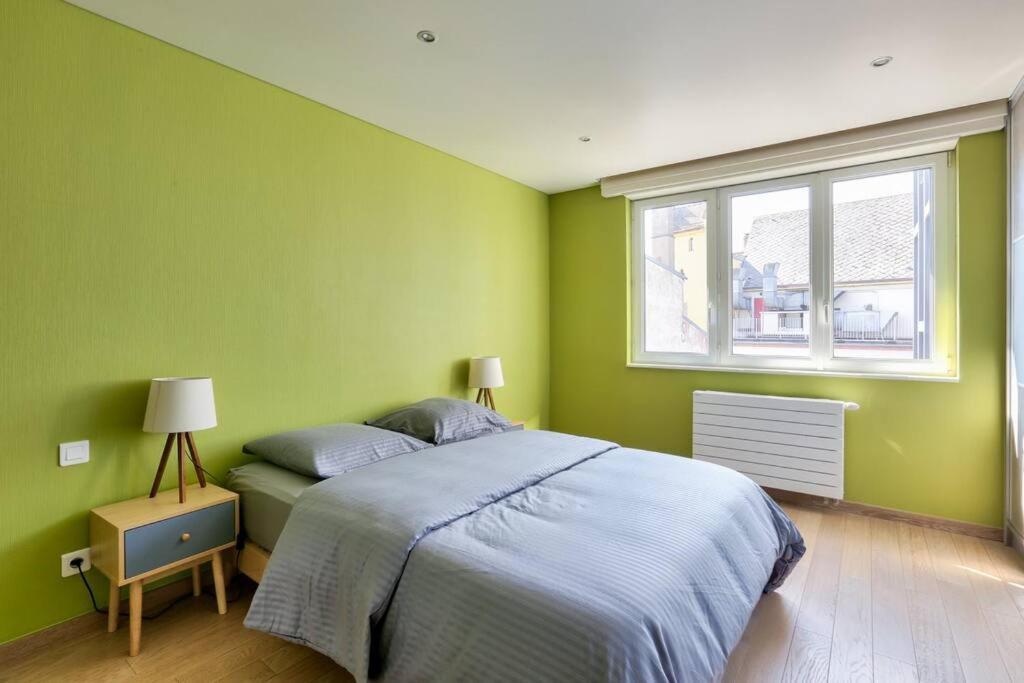 Appartement Spacieux Au Coeur De Страсбург Екстериор снимка